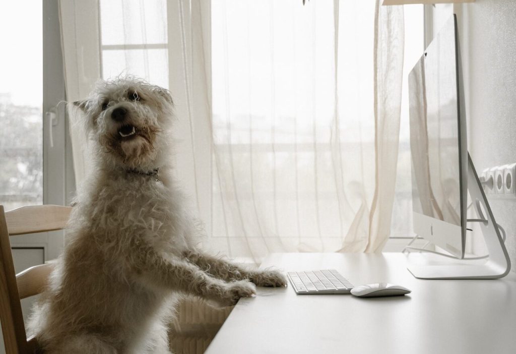 gender pay gap reporting ireland excuses (3)